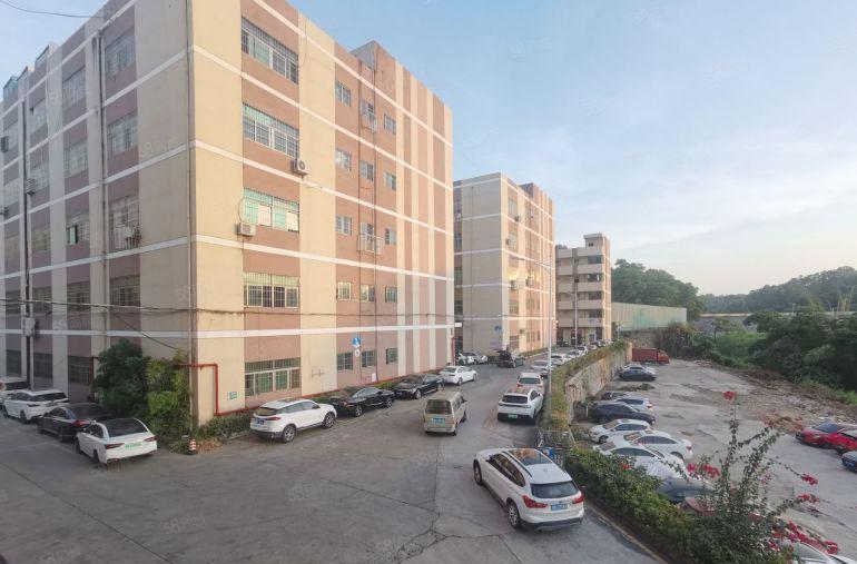 观澜大水坑5米高一楼厂房出租面积360平米，水电齐全简单装修