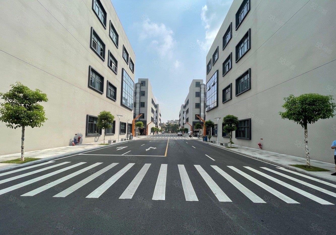 龙华大浪原房东红本独栋厂房14层每层1620平空地大方便货车