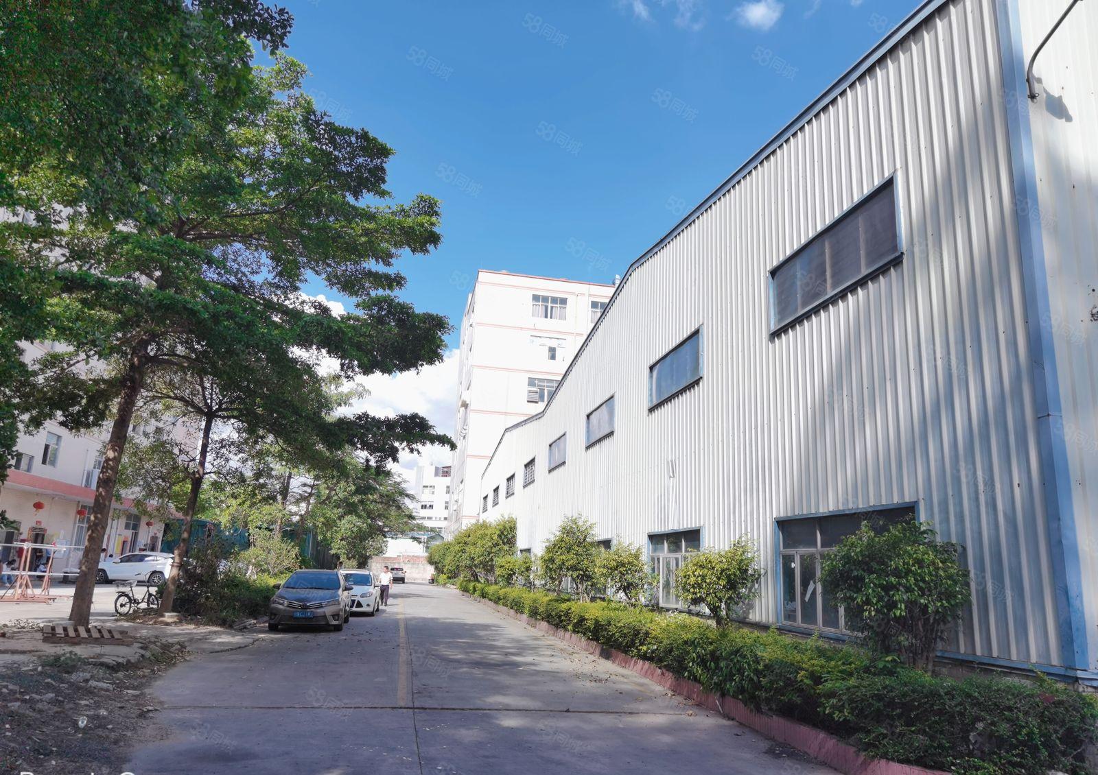 观澜主干道边新出单一层滴水8米钢构6000平米带隔热层