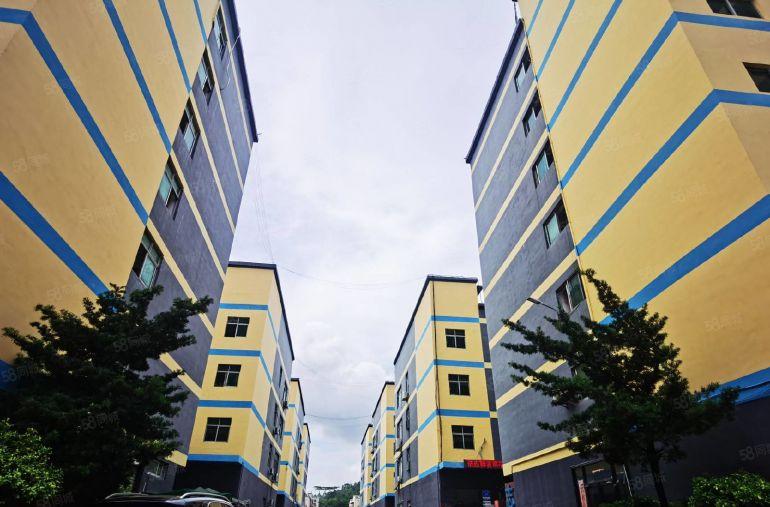 龙华浪口工业园1000平原房东精装修办公室仓库厂房出租可分租