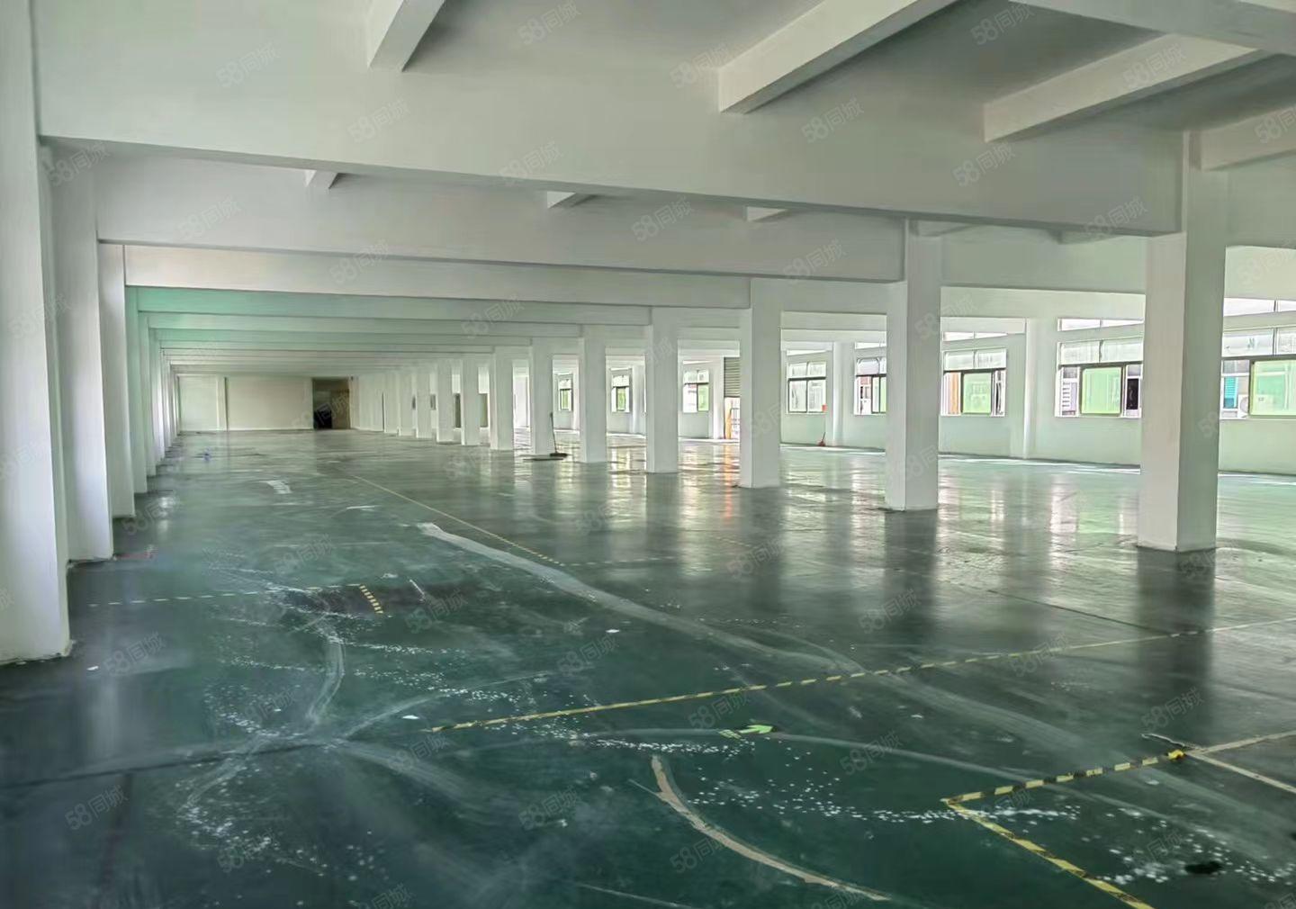 龙华观澜新出独院6600平厂房出租