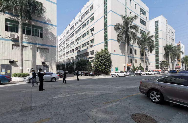 龙华大浪上横朗工业园1000平精装修办公室仓库厂房出租可分租