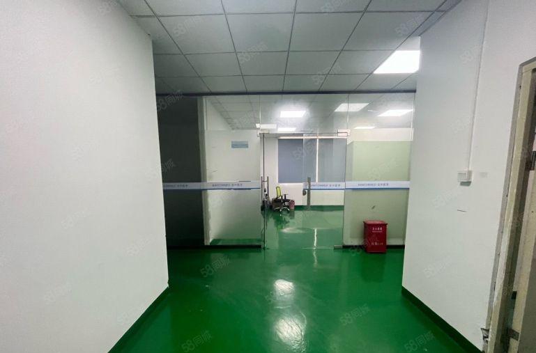 龙华商业中心1000平个人精装修全新地坪漆办公室仓库厂房出租