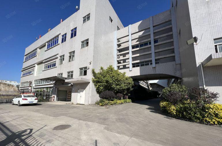 观澜实际面积一楼厂房2600平方仓库出租带卸货平台精装办公室