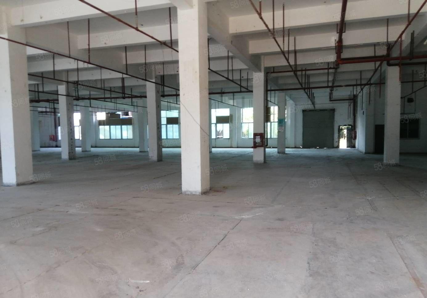 500平起分 观澜原房东独院15000平 水电齐全 带精装修