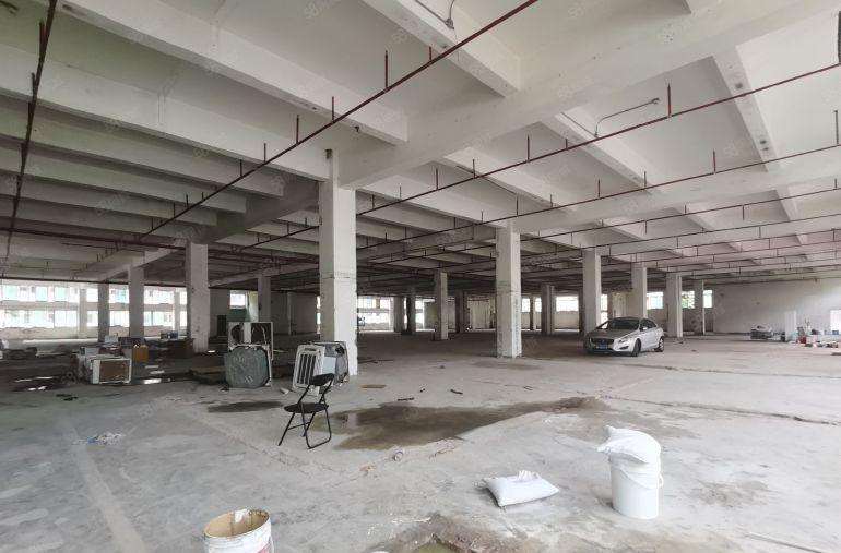 观澜高速口附近独院厂房单层面积3500平，空地6000平