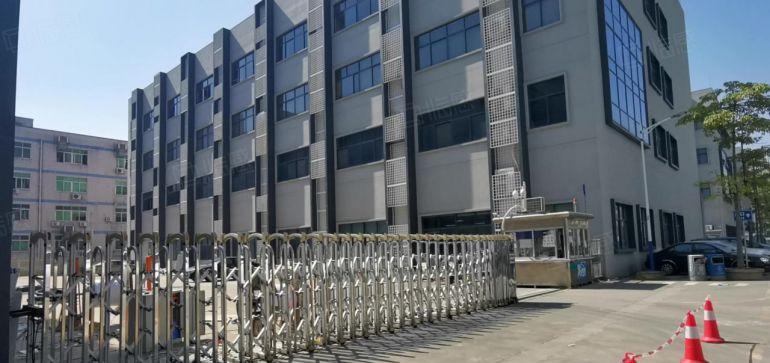 龙华大浪6500平原房东独门独院独栋红本厂房出租可分租无公摊