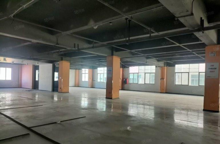 龙华油松花园式厂房楼上整层1500平可分租，适合电商仓库办公