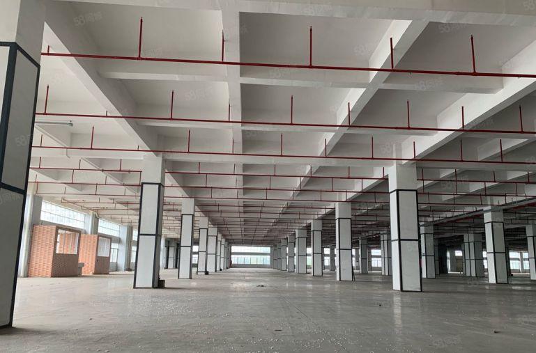 龙华北高速口旁30万平重工业厂房1000平起租可物流仓储加工