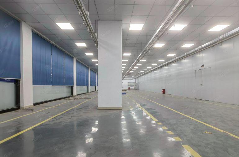 龙华大浪 特价精装整租一楼 2000平 欢迎来电咨询