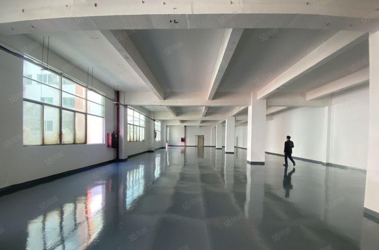 租金23元全包。龙华大浪商业中心，标准厂房仓库650平出租