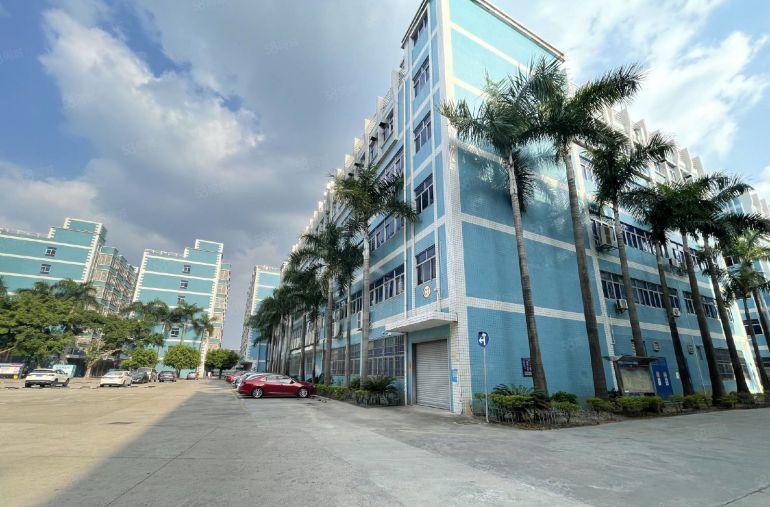 大浪科技园楼上新出500平精装修办公室仓库厂房低价出租