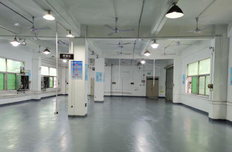 业主出租龙华河背工业区（一楼）450平米工业厂房