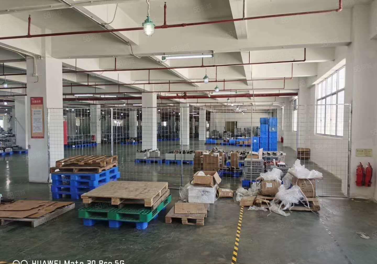 深圳龙华观澜樟坑径下围原房东独院15000平厂房出租。