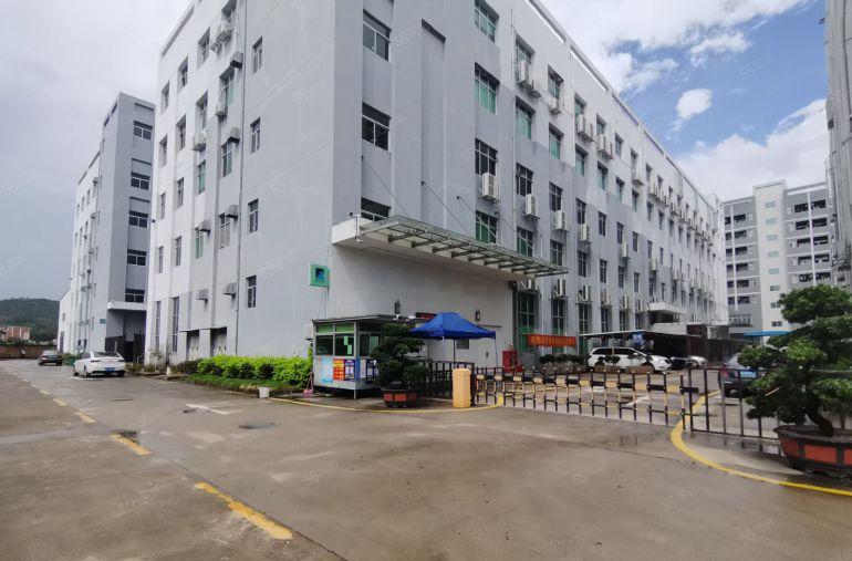 观澜同富裕原房东独门独院厂房仓库实际面积出租8000平可分租