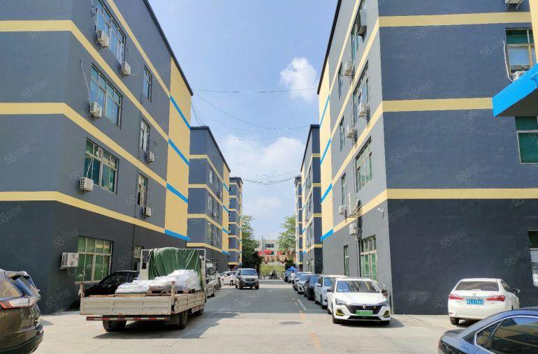 龙华大浪精装修1300平厂房出租 可分租 工业园低价仓库出租