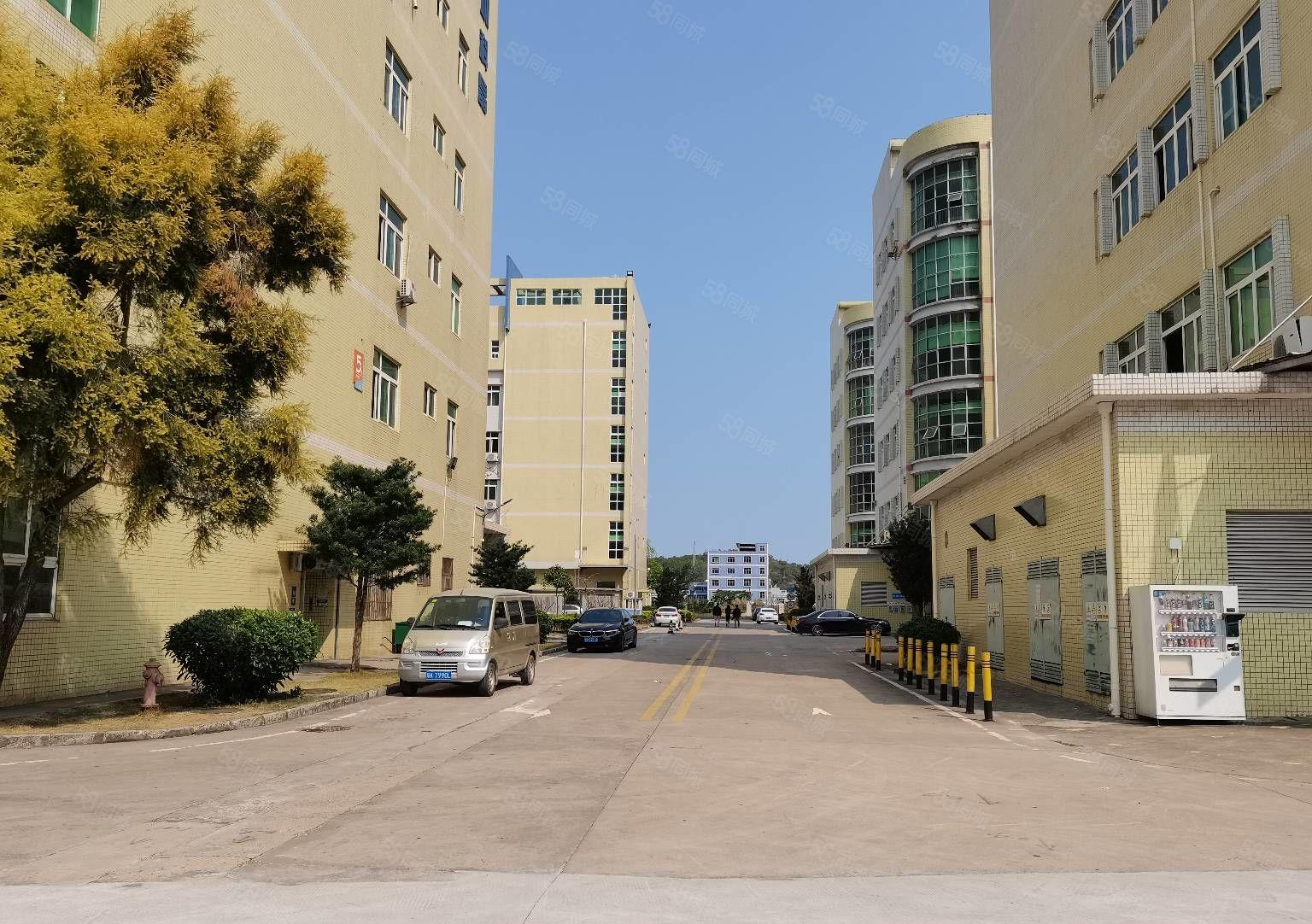 龙华大浪工业园新出一楼二楼带装修2150平厂房出租大小可分租