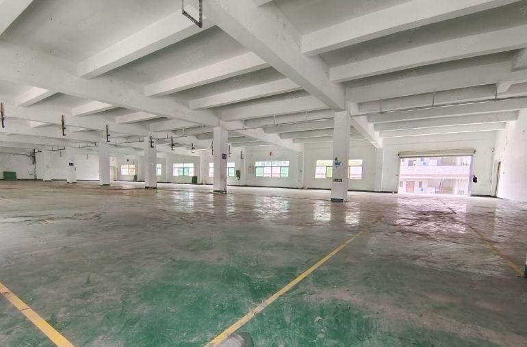 村委直租无公摊！观澜6000平独院厂房仓库出租，300起分