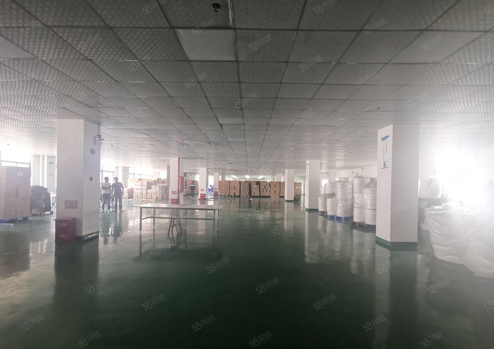 布吉李朗工业园3万平工业园500平起租有仓库无尘车间厂房出租