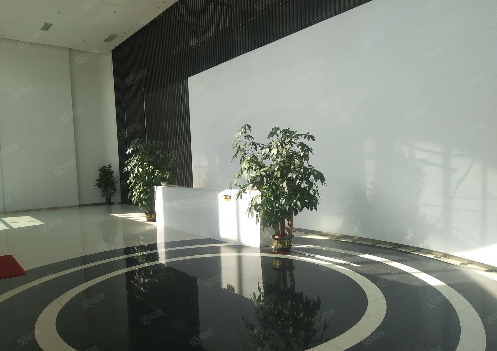 400万豪装，空地超大，双高速口