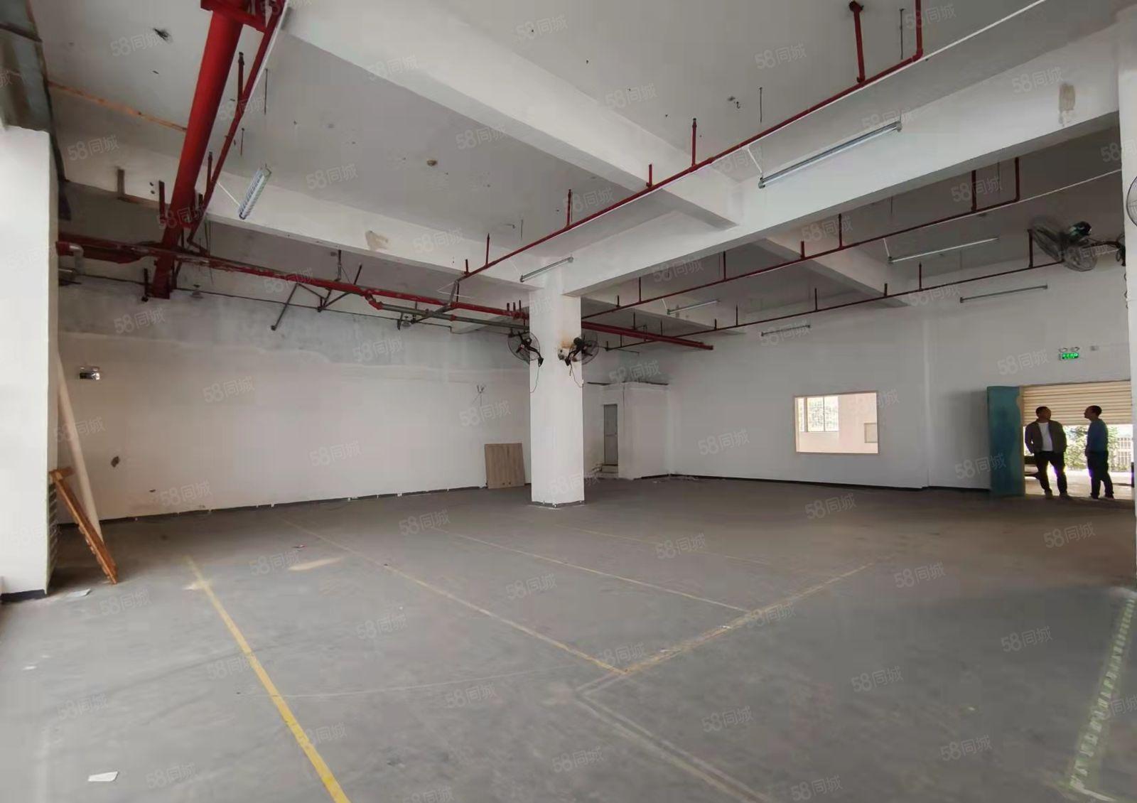 油松第二工业区新出一楼物流厂房540平分租，使用率高水电齐全