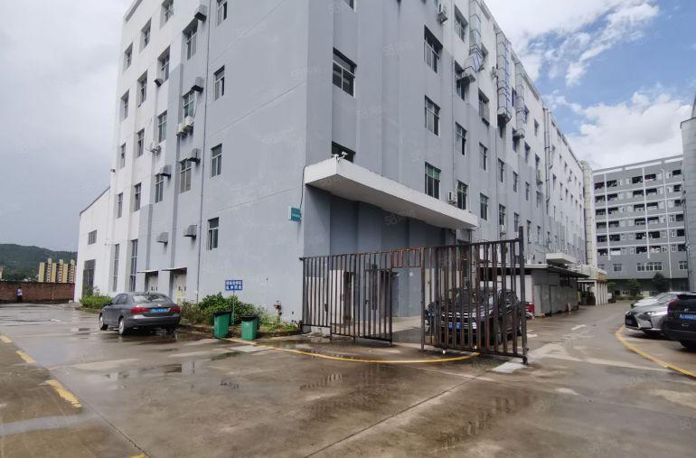 出租龙华大浪1000平标准厂房出租仓库招租500平起