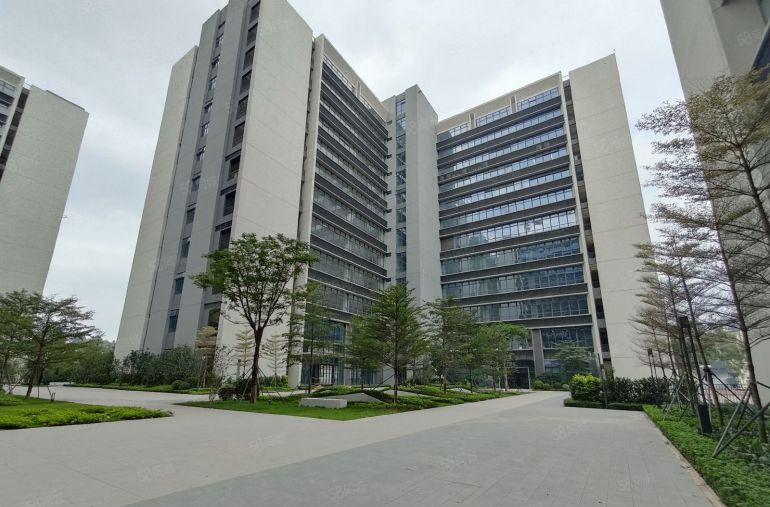 观澜地铁口1000平起租原房东红本厂房40万平实际面积出租