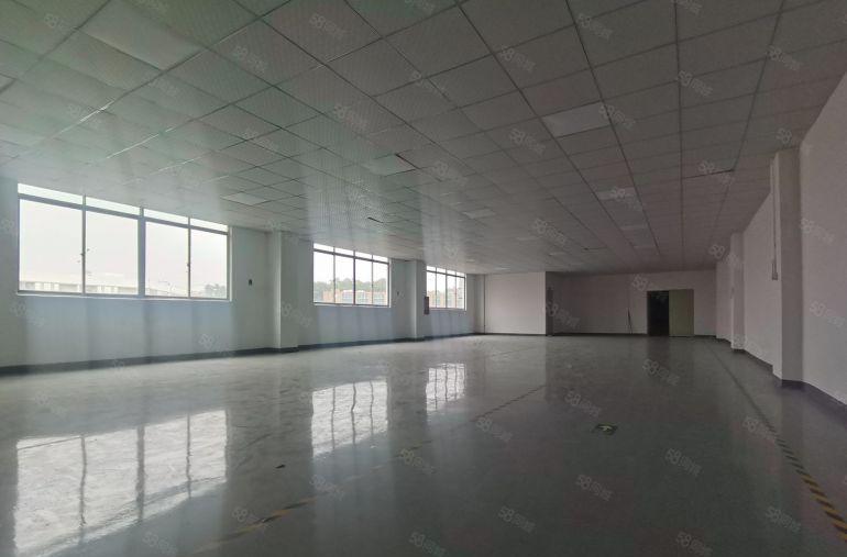 深圳龙华观澜500平标准厂房低价出租原房东精装修