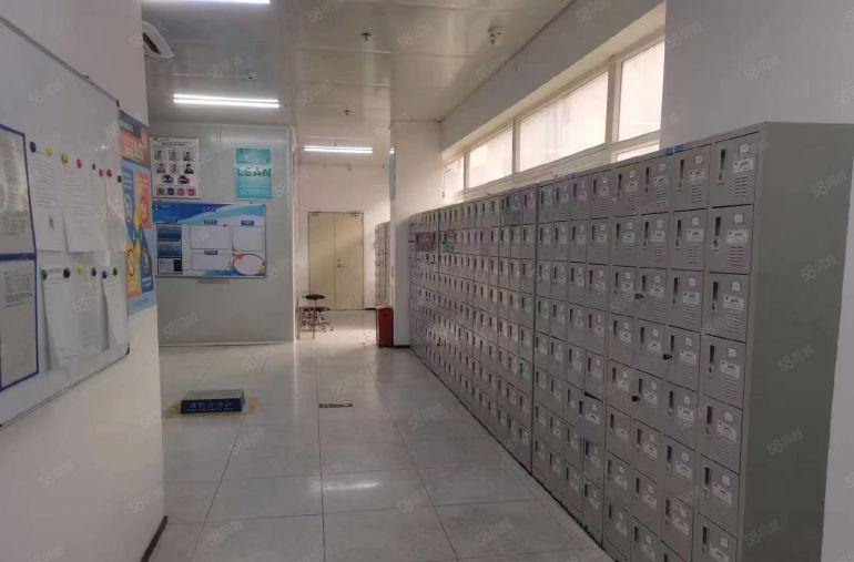 龙华大浪新百利工业园红本厂房28000平方可分租，带无尘车间