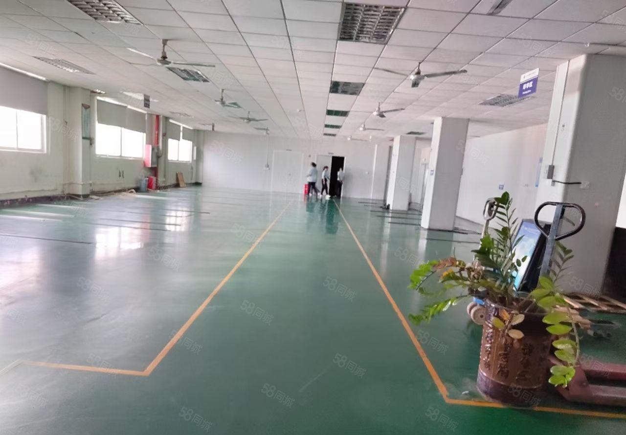 观澜横坑工业区花园式厂房出租1750平方 带装修不收转让费