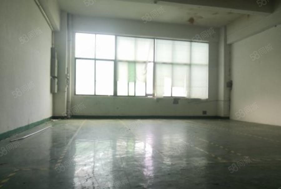 龙华中源工业区特价厂房700平原房东直租，龙华中心区