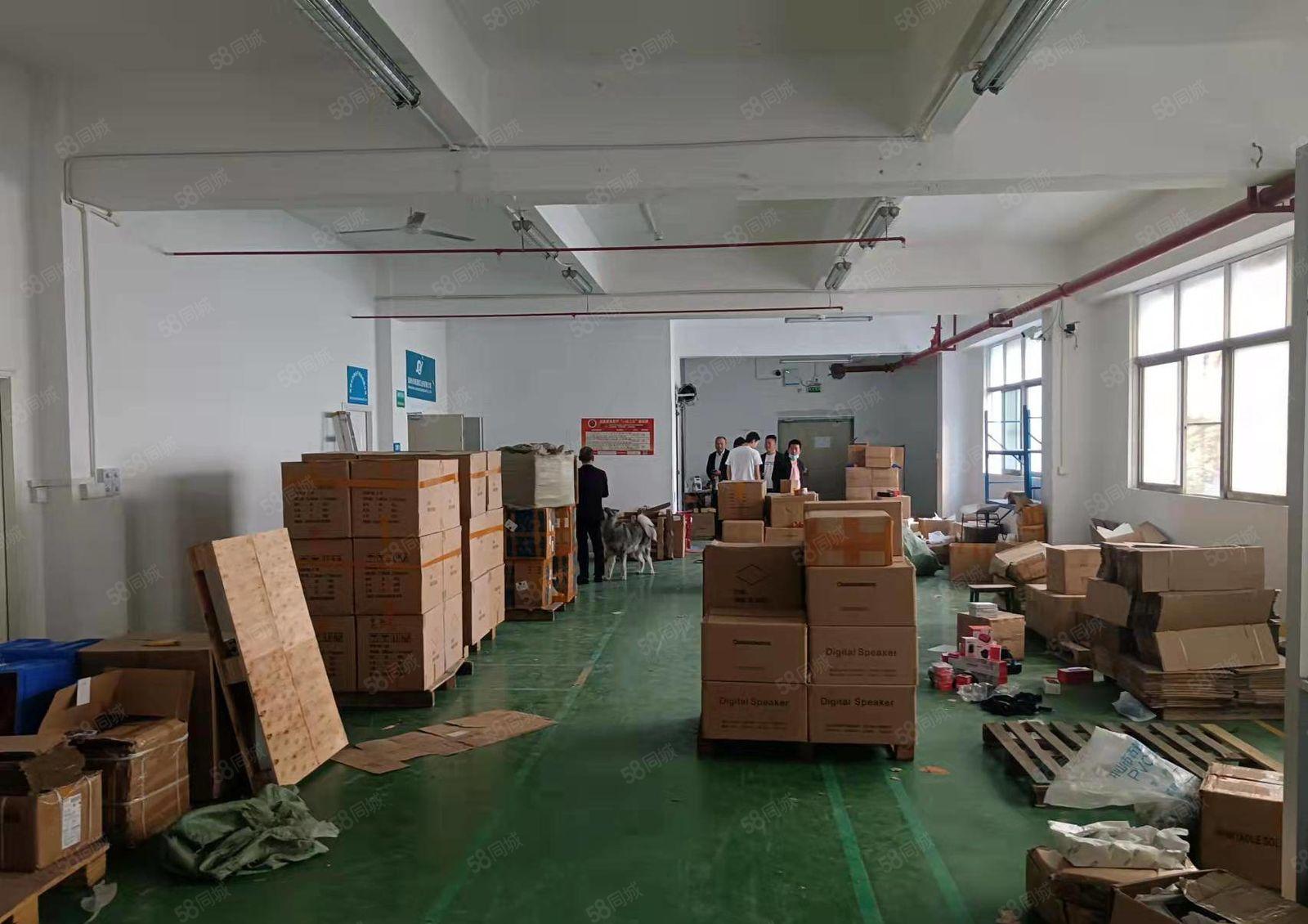 龙华大浪新出楼上1500平标准厂房出租