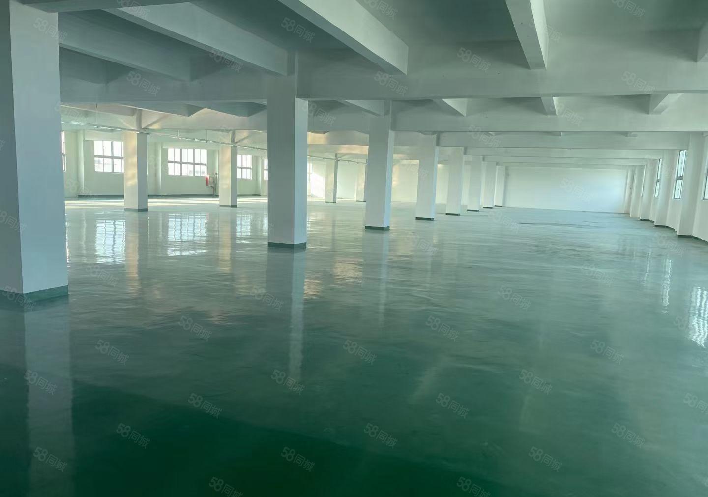 龙华石观单层面积2000平米，大小可以分租 原价转让