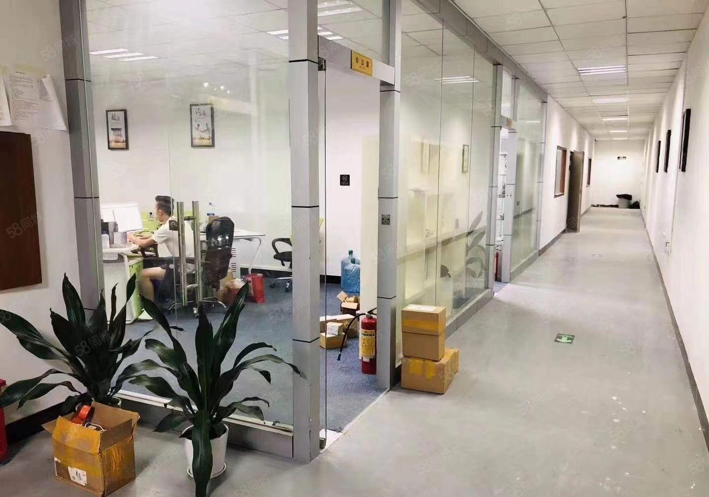 龙华大浪精装修办公车间700平带消防喷淋厂房出租