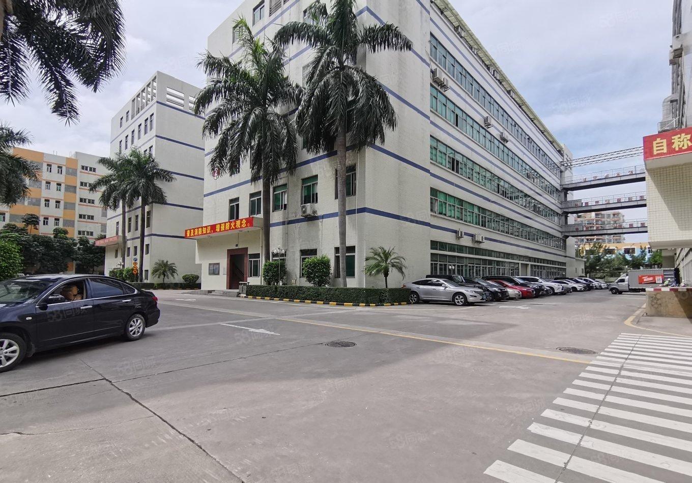 观澜樟坑径工业区原房东红本5000平红本精装厂房仓库出租