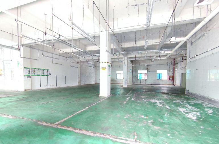 观澜龙观快速路旁一楼900平二楼1800平厂房出租可分租