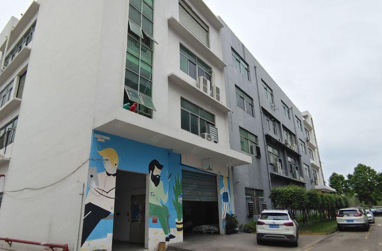 18块起观澜厂房出租办公仓库200平起租可定制装修主干道边