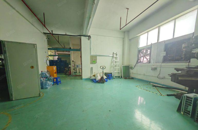 大浪红本高新园区新出小面积500平厂房