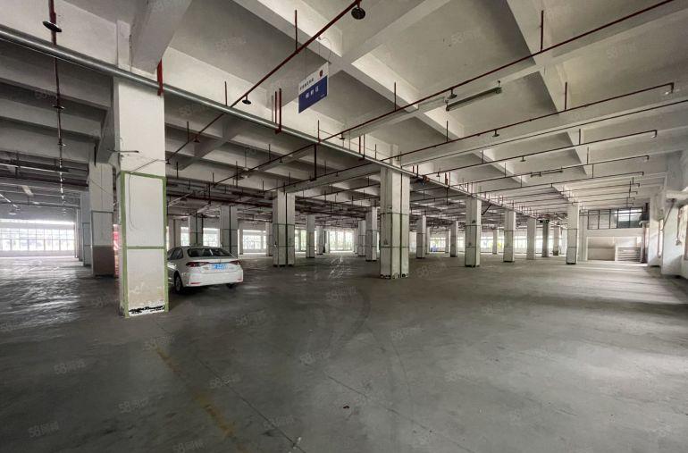 300平起龙华大浪原房东独栋6000平厂房出租仓库出租可分租