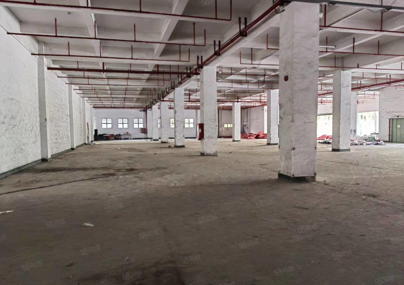 深圳龙华大浪商业中心附近100平起创意园厂房出租。