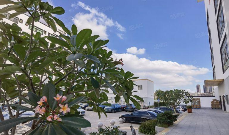 龙华壹方城旁 原房东出租厂房及办公室 价格30平