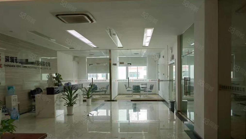 龙华工业区原房东独门独院整层精装修红本仓库厂房出租无尘车间