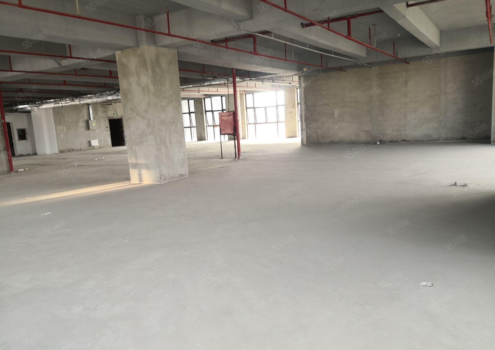 龙华观澜地铁站新建200万平生物医疗产业园5000平厂房出租