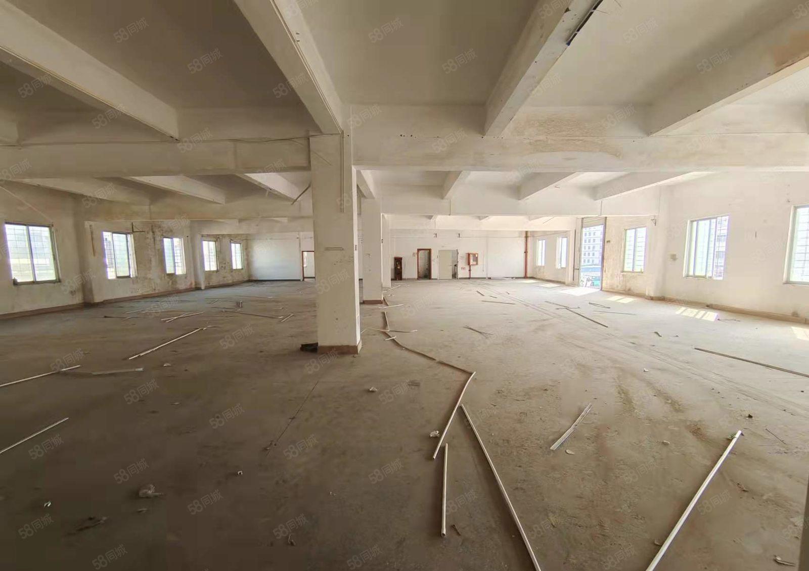 观澜君子布环观南路独院3400平方对外出租