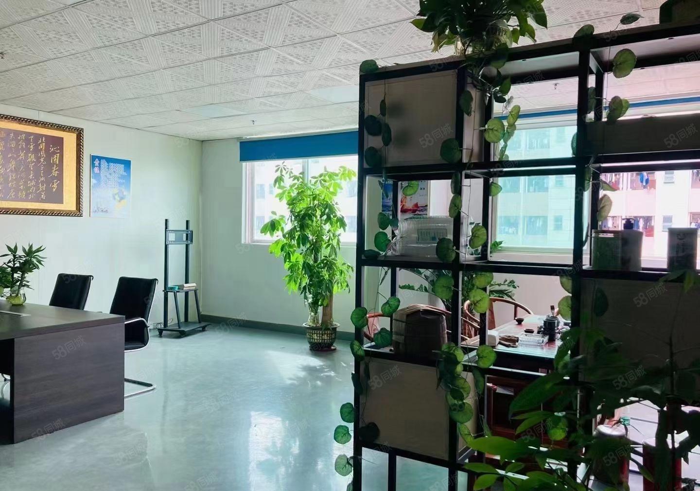 龙华原房东红本大型工业园5000厂房出租大小分租电商仓库1楼