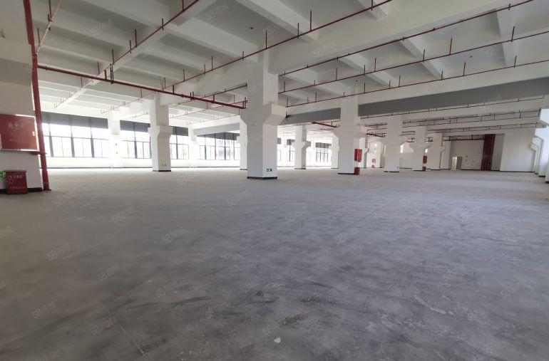 深圳龙华厂房大浪出租办公仓库2000平超大空地整租分租工业园