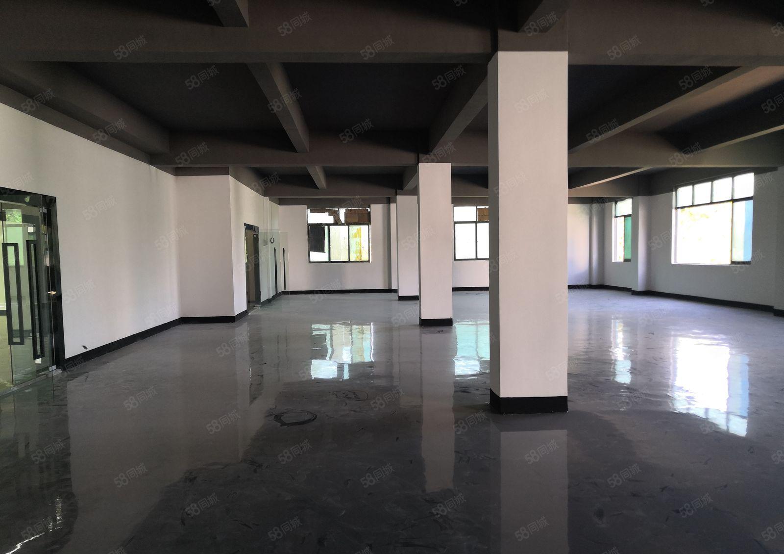 大浪商业中心全新电商办公仓库高新厂房10000平200平分租