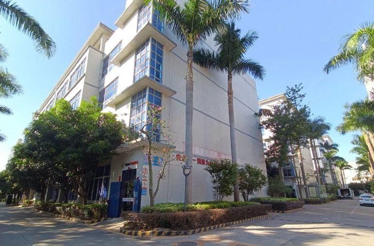 300平起租，大浪原房东工业区厂房出租2000平方现成办公室