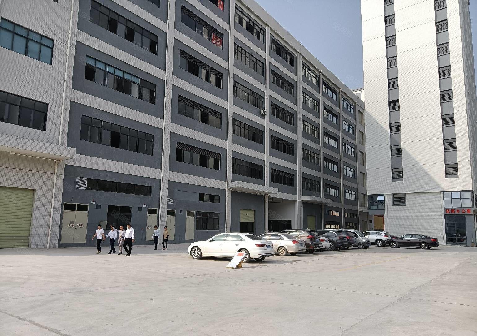 低至19元，观澜大富原房东红本厂房6000平出租500平起租