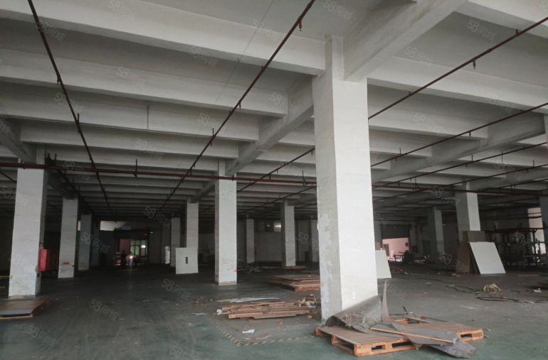 原房东红本厂房1楼1500平直租价格优惠